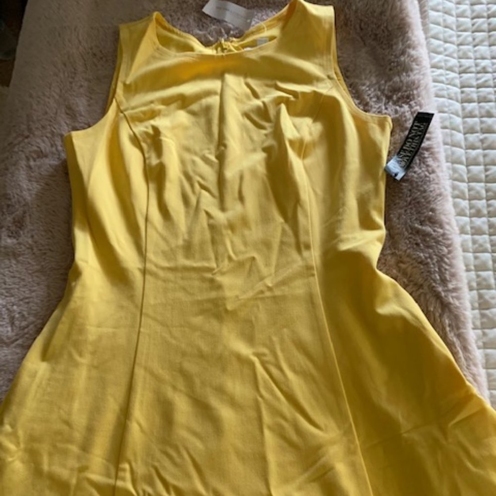 NWT A-line dress with pockets
